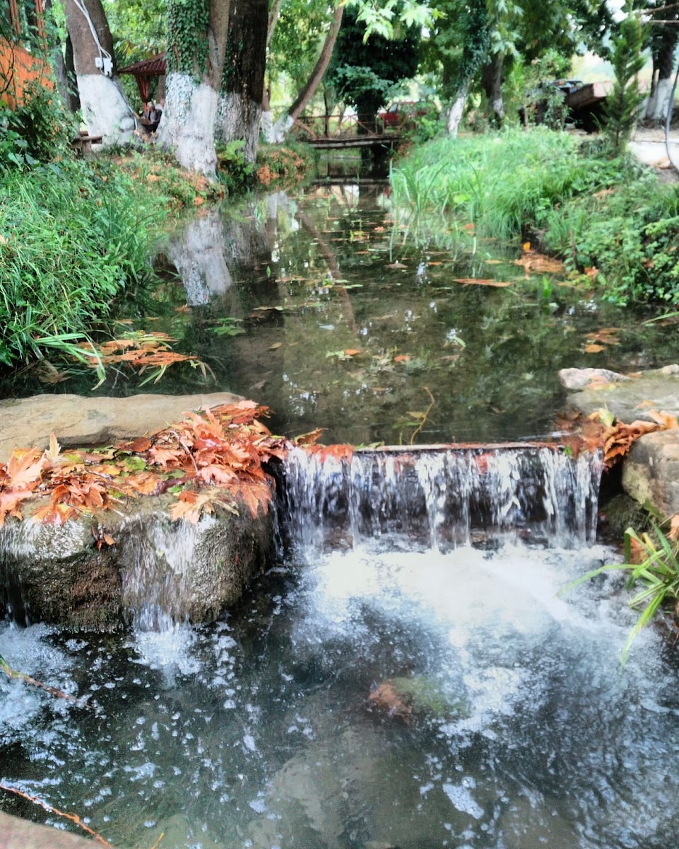 Karacasu Alabalık Tesisleri Photos 2